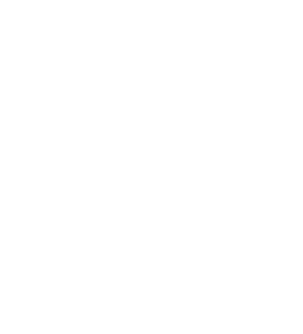 Bryant Insurance Group - Logo 800 White